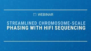 Streamlined chromosome-scale phasing with HiFi sequencing