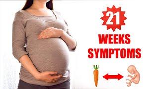 21 Weeks Pregnant Symptoms – Baby Size and Baby Moving in Womb