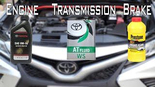 Learn to change 3 important oils on your Camry without paying dealer anymore