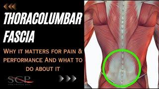 Thoracolumbar Fascia Webinar Why It Matters For PainPerformance And What To Do About It