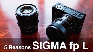 5 Reasons I like the Sigma fp L and lenses