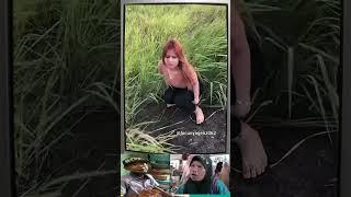 Video Meme Lucu Ngakak Kocak kocok perut  #shortsviral