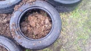 Beginning a new raised potatoe bed using old tyres