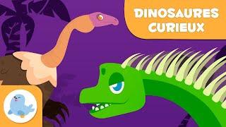 DINOSAURES pour enfants Les dinosaures les plus curieux 