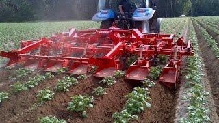 GRIMME GH 6 Eco  Ridging Hiller