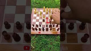 Win Fast Chess trap to checkmate in 7 moves - chess tricks #chess #shorts