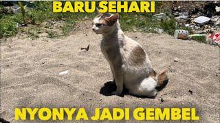 BARU SEHARI NYONYA PIKA SUDAH JADI GEMBEL SEPERTI INI