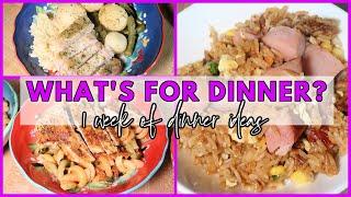 EASY DINNER IDEAS  WHATS FOR DINNER? #313  7 Real Life Family Meal Ideas