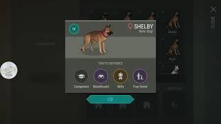 how to get true friend skill in dog last day on earth V 1.9.3