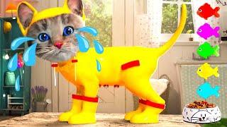 CUTE CAT LITTLE KITTEN ADVENTURE - ANIMATED STORY OF A GREAT CAT AND PET CARE