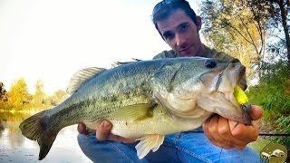 Italian Big Bass autumn fishing