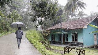 Heavy Rain in Peaceful Village  Beautiful Village With Tall Trees  ASMR Rain Sounds For Sleep