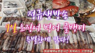 노량진수산시장 04시 정규생방송^^ 새롭고 다양하고 가장 싼 노량진수산새벽시장 시세는 수산물 시세의 지표다 #킹크랩 #대게 #꽃게 #횟감 #활어 #선어