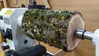 Woodturning oak sugar vase ТОКАРНЫЕ работы по дереву ВАЗА из ДУБА 