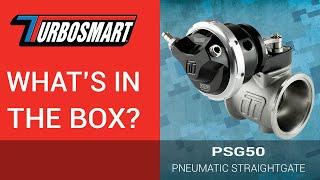 Whats in the Box? - TS-0565-1762  PSG50 Pneumatic StraightGate