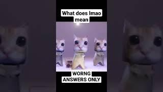 what does lmao mean worng answers only