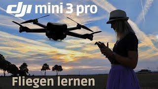 DJI MINI 3 PRO Anfänger Tutorial - Drohne Starten Steuern Landen DJI Fly App...