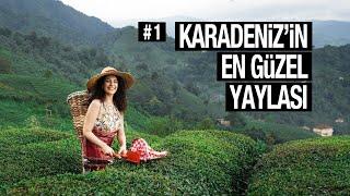 KARADENİZ - 1 • RİZE GEZİMİZ - Rize’de gezilecek en güzel yerler • Arabayla Karadeniz Turu