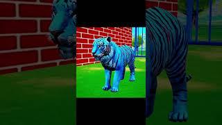 Choose The Right Key With Tiger #shorts #animalgame #funny