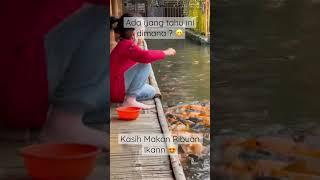 Restoran Batu Malang Pring Pethuk Batu Malang Jawa Timur #shorts #ampyangkuliner