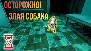 Прохождение Больницы с дружком  Eyes - The horror game