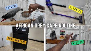 Daily Care Routine for My African Grey Parrots  Dust Management Misting Cleaning and Feeding