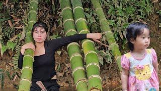 Single mother cuts bamboo and prepares to build a house on land lent to her by a good person