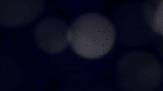 Rain On Glass Over Bokeh -  No Copyright Copyright Free Videos 4k 15-seconds loop background