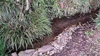 A small stream under the cherry tree 桜の木と小川