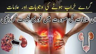 What Are The Causes and Symptoms Of Kidney Failure  Kidney Pain Location in urdu  Lower Back Pain