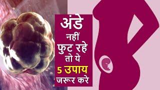 अंडे नहीं फुट रहे तो ये 5 उपाय करना न भूले ? 5 Super tips to Boost ovulation In Hindi