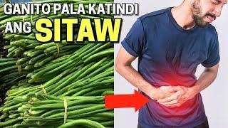 GRABE PALA ANG EPEKTO SA ATING KATAWAN NG SITAW benefits and risks of eating sitaw