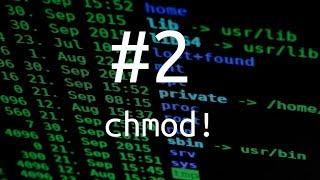 chmod bash command  Linux permissions