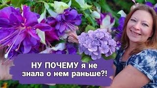 Ну почему я не знала о нем раньше?