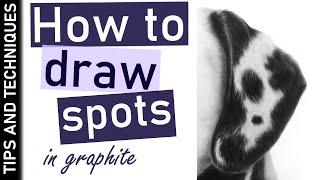 How to draw Dalmatian fur spots in graphite  Realistic fur drawing tips