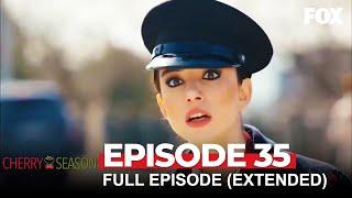 Cherry Season Episode 35 Extended Version