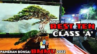 BONSAI BEST TEN CLASS A  PAMERAN BONSAI BMMU 2022