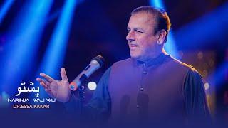 Dr.essa kakar  New Pashto Song - Narinja wali wali - elmak music season 1  4K
