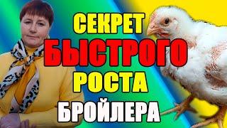 Секрет БЫСТРОГО роста бройлера.