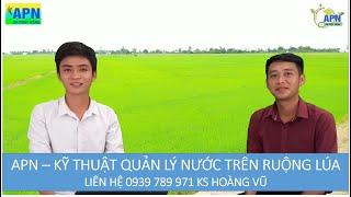 APN - KỸ THUẬT QUẢN LÝ NƯỚC TRÊN RUỘNG LÚA #APN #nongnghiepketnoi #kythuatquanlynuoc