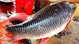 Amazing Live Rohui Fish Cutting Skills in The Fish Market  Fastest Rohui Fish Cutting