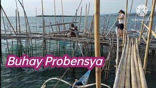 Palompon Leyte buhay Probensya #palompon#bonsud#kilaw