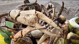 Giant Land Crab Catch and Cook