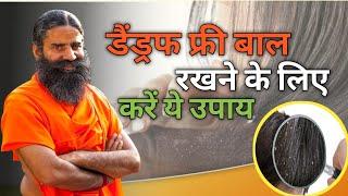 अपने बालों को डैंड्रफ-फ्री Dandruff-Free रखने के लिए करें यह उपाय  Swami Ramdev