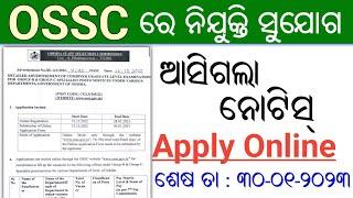 OSSC Recruitment Combined Graduate Posts  Latest Job Notification  Odisha Job Alert