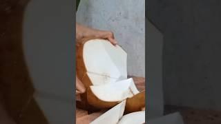 big yellow coconut Sliced Coconut Peeling Styles coconut cutting knife #cuttingskills