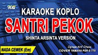 Santri Pekok Karaoke Koplo Pargoy Nada Wanita Shinta Arsinta Version CiptArif Citenx