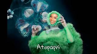 Björk - Atopos Cupcakke Remix