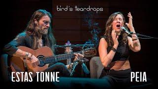 Birds Teardrops  Estas Tonne feat. Peia  Ashland Oregon 2018