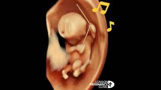 Drumming baby  #earlypregnancy #4dultrasound baby at 11 weeks